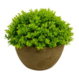 Planta Musgo Artificial Macetero Corcho Decoración 12cm 62