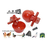 Kit Com 30 Bebedouro Automático Tipo Copinho Para Aves 