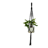 Colgador De Plantas Simple Negro (b)