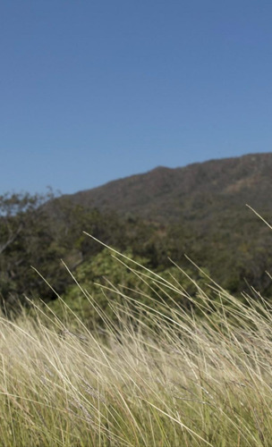 Lote Santa Marta Cerca Al Parque Nacional Tayrona - Imagen 4