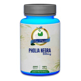 Pholia Magra 120 Capsulas 500mg - Now Pharma