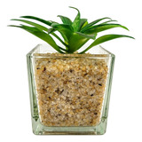 Suculenta Com Vaso Agave 11x12x12cm Planta Artificial