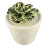 Peca Decorativa De Vaso Com Suculenta De Cerâmica Zq3057
