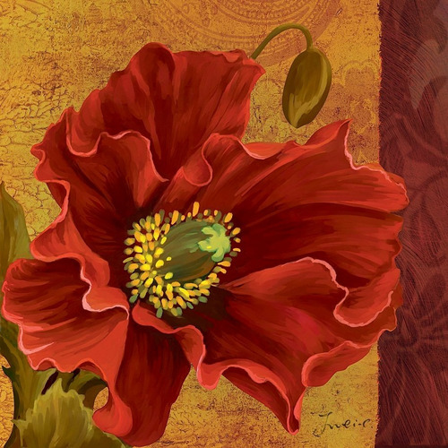 Quadro Tela Painel Decorativo Flor Papoula Vermelha 60x60 Cm