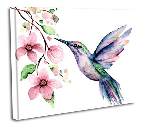 Cuadro Lienzo Canvas 50x60cm Colibri Nectar Flor Tipo Oleo