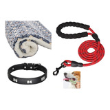 Set Collar Para Perro + Cama + Correa 1.5 Metros + Regalo