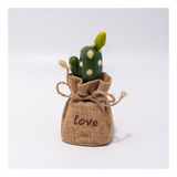 Planta Artificial Cactus 12cm Bighouse