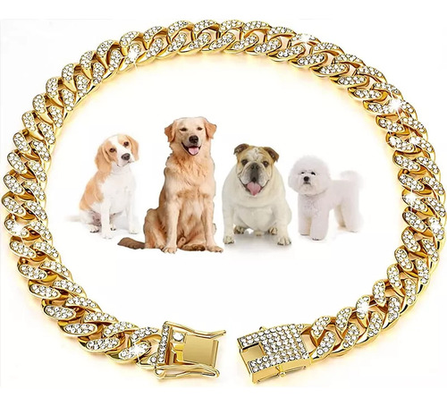 Collares Personalizados Para Perros Y Gatos Golden Chain C