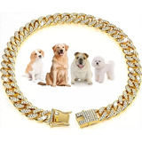 Collares Personalizados Para Perros Y Gatos Golden Chain C