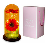 Girasol Eterna Girasol Preservada Led San Valentin Regalos