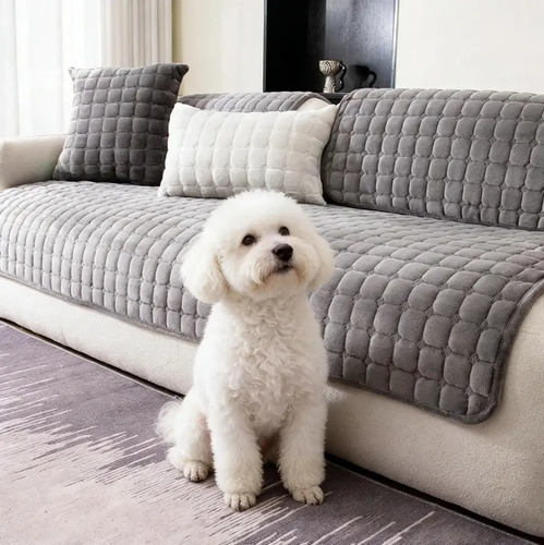Forro Protector For Sala Elástico A Prueba De Mascotas
