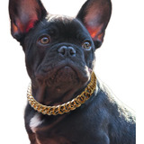 Collar De Perro De Eslabones Cubanos  Collar De Perro De Ca