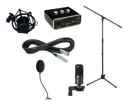 Microfono Grabacion Condensador Takstar Sm8b Behringer Um2