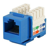 Jack Rj45 Cat5e Conector Hembra Red Utp  Azul Xcase