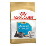 Royal Canin Mini Schnauzer Puppy