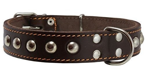 Collar De Cuero Genuino Para Perros Medianos.