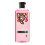 Shampoo Herbal,rosa Mosqueta Y Extractos De Jojoba