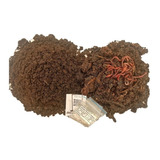 Lombriz Roja Californiana: 70 +10cocones+1 Kg Vermicompost