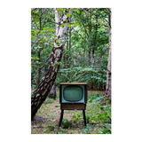 Vinilo 20x30cm Retro Vintage Antigua Tv Television P1