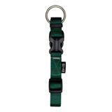 Collar Para Perros Ajustable Zeus - Large Tamaño Del Collar 36 - 55cm Color Verde