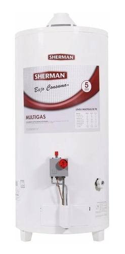 Termotanque Gas Sherman  120 Litros Pie Carga Superior