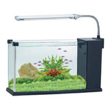 Acuario Plano De 6 Litros  Tg-21