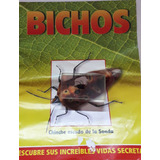 Bichos - Chinche Escudo De Sonda   + Fascículo - Rba