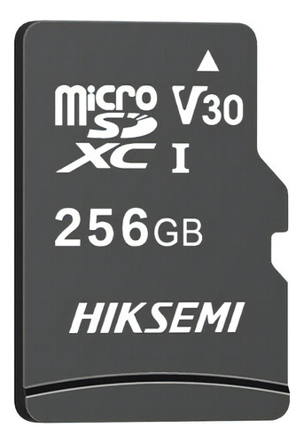 Memoria Micro Sd 256 Gb Hiksemi Hs-tf-c1 256g