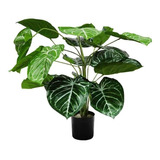 Planta Artificial Decorativa Caladium Verde De 50cm