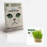 Sementes Graminha Gato Saude Petpira 50g Intestinal