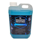 Glänzen Detailing Shampoo Neutro Ph 2 Litros Apto Foam Lance