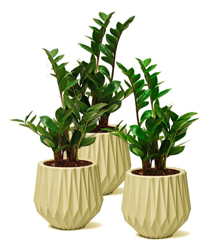 Trio Vasos Lapidados P Para Plantas Decorações Casa Jardim 