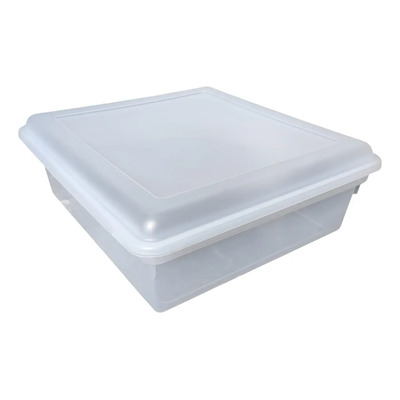 Contenedor, Caja, Organizador, Bajo Cama 17 L Transparente | Meses sin interés