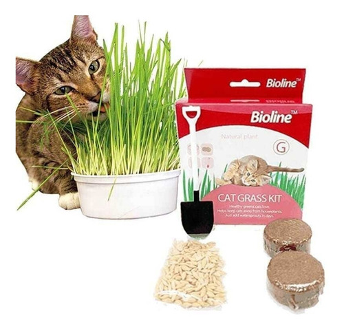 Bioline Cat Grasa Kit.