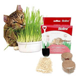 Bioline Cat Grasa Kit.