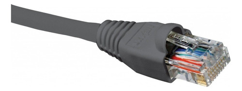 Cable De Conexión Nexxt 8 Pzas 798302030251 Cat5e 3m Gr /vc