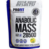 Hipercalórico Anabolic Mass 28500 - 3kg - Profit Labs