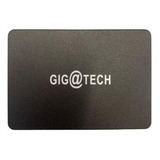 Disco Solido Interno Gigatech 2.5 Sata3 Ssd 256 Gb Premium