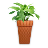 Vaso Rattan Para Flores Plantas Reforçado Grande Decorativo 