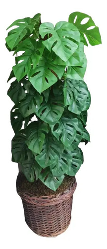 Planta Artificial Modelos Disponibles Con Cesto Incluído