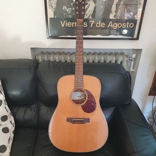 Guitarra Electroacústica Usada Breedlove Passport Plus 