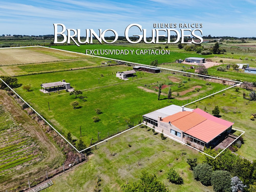 Se Alquila Chacra Con Salón De Eventos Y Canchas De Futbol Rincón Del Cerro Montevideo Rural - Imagen 2