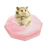 Hamster Ceramic Summer Cool Plate Placa De Disipación De Cal