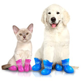 Botas De Lluvia Antideslizantes Para Mascotas Impermeables