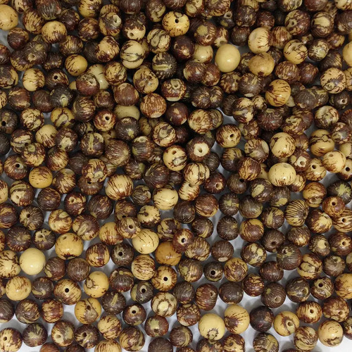 Miçanga Semente Açaí Furada Artesanal Japamala Terço 500un