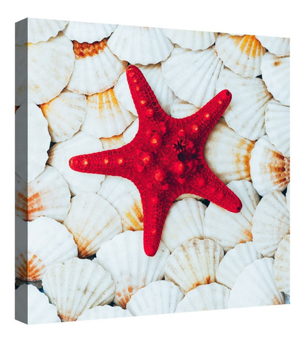 Cuadro Decorativo Canvas Fondo De Conchas Y Estrellas De Mar