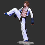 Archivo Stl Impresión 3d - Tekken - Hwoarang 1