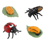 Nuevo Figura De Insecto Life Cycle Plastic Brood En Forma