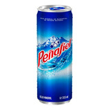 Agua Mineral Peñafiel 355ml Lata