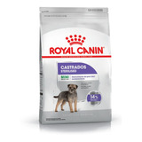 Royal Canin Perro Mini Castrado 3 Kg Mascota Food